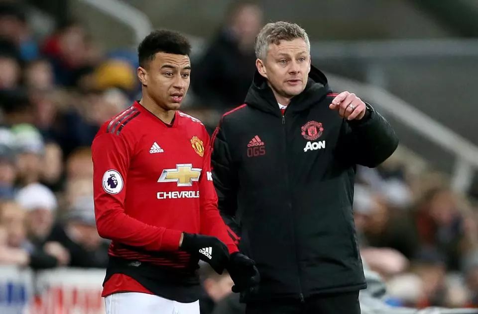 的主场比赛 的主场比赛