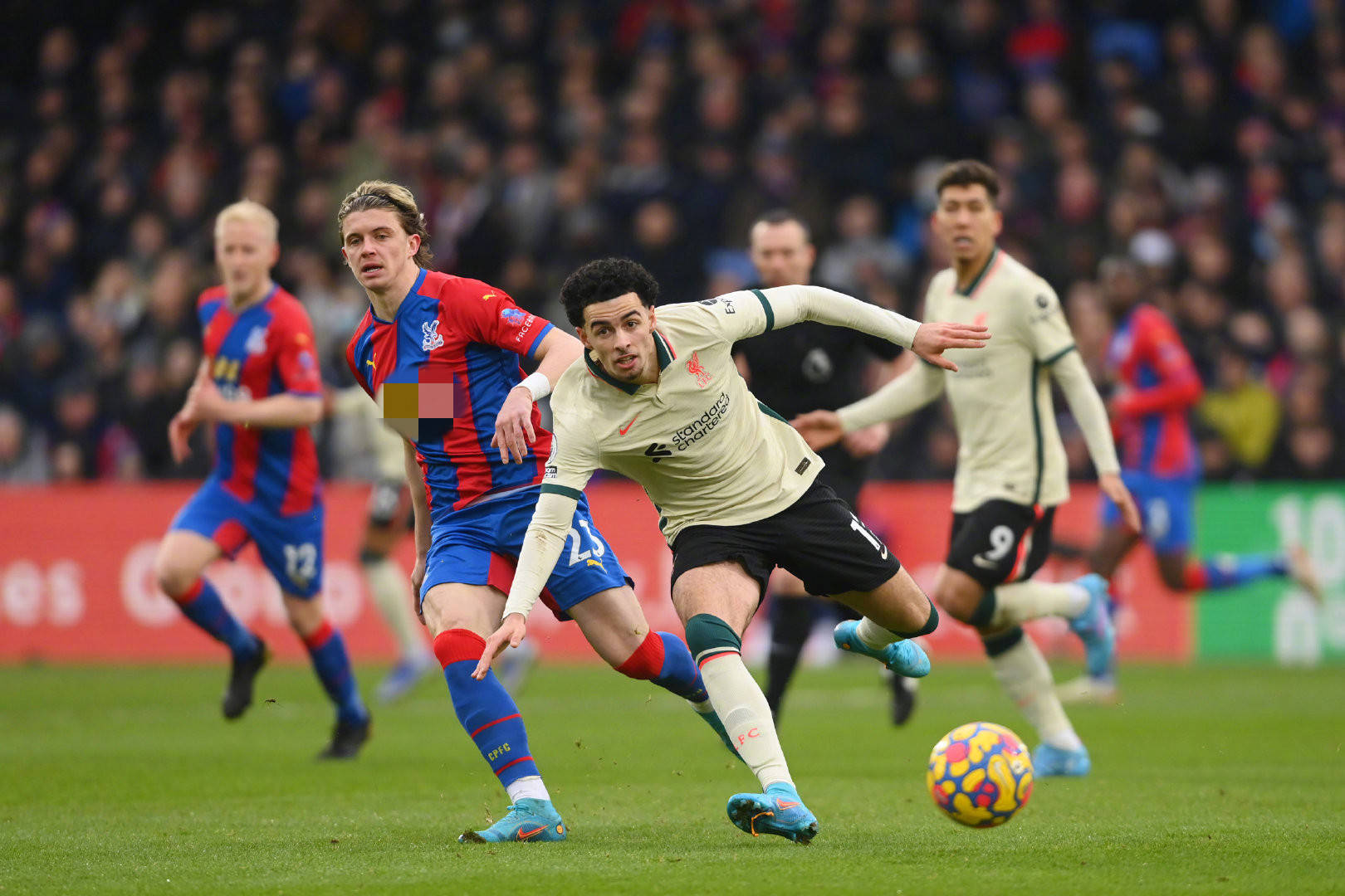 体的任何不 体的任何不